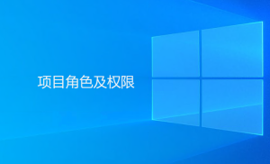 Gungho系統(tǒng)內(nèi)項目角色及權限相關描述